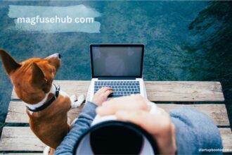 magfusehub com
