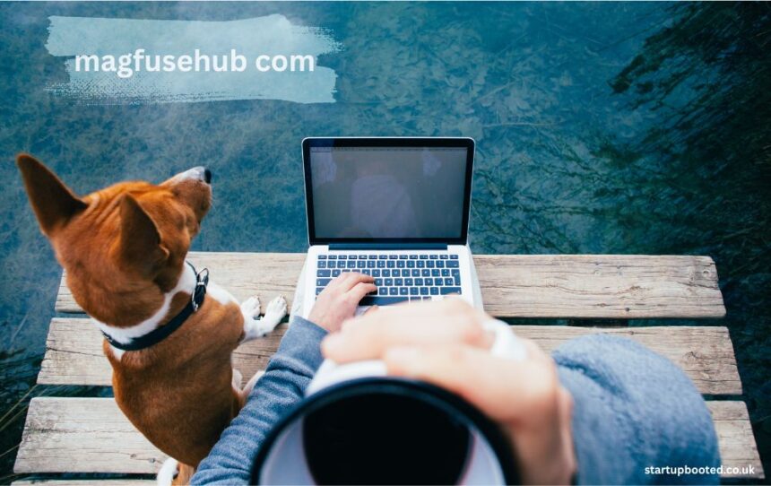 magfusehub com