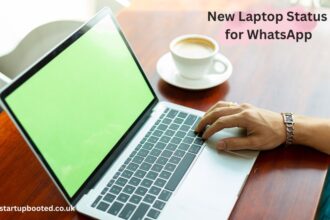new laptop status for whatsapp